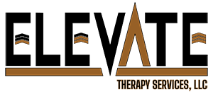 Elevate Therapy Services in Michigan